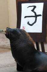 E:\2020  ブログ\DSC_3877.JPG