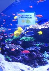 E:\2020  ブログ\DSC_3968.JPG