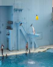 E:\2020  ブログ\P1200784.JPG