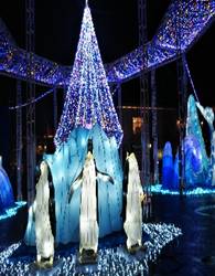 E:\2020  ブログ\DSC_4182.JPG