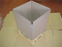 サンプルボックス