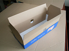 サンプルボックス